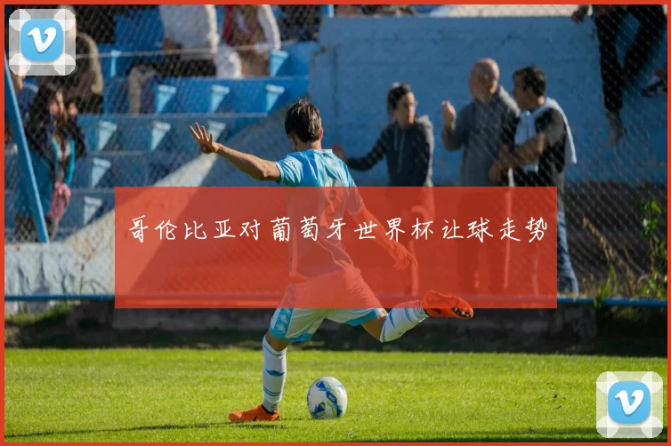 哥伦比亚对葡萄牙世界杯让球走势