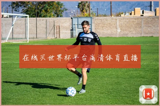 在线买世界杯平台高清体育直播