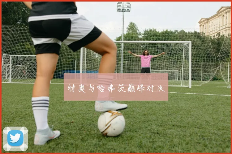 特奥与哈弗茨巅峰对决