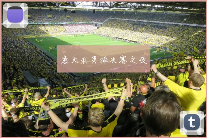 意大利男排决赛之夜