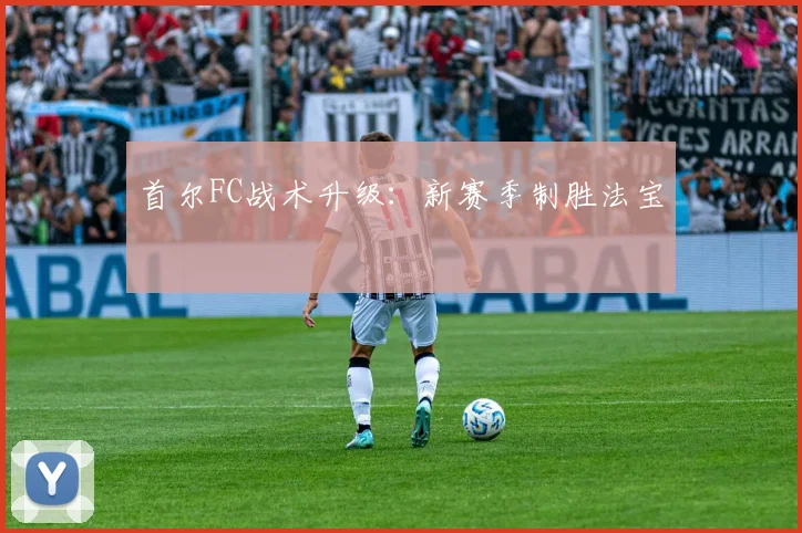 首尔FC战术升级:新赛季制胜法宝