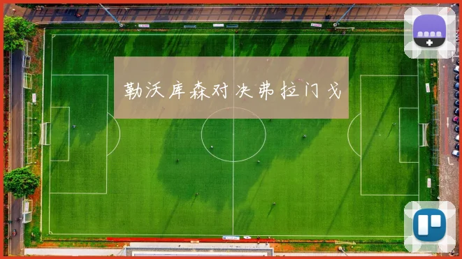 勒沃库森对决弗拉门戈