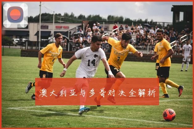 澳大利亚与多哥对决全解析