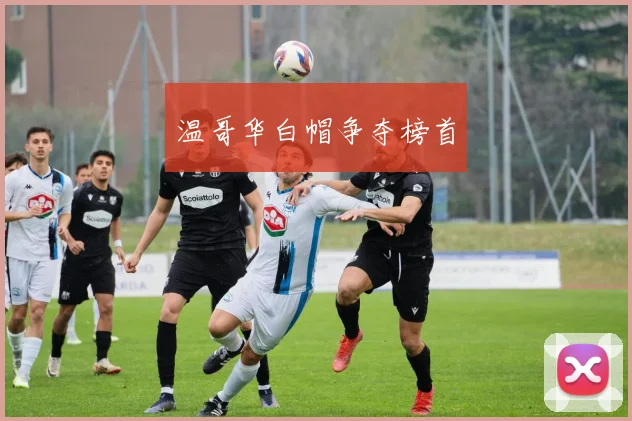 温哥华白帽争夺榜首