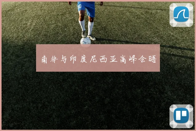 南非与印度尼西亚高峰会晤