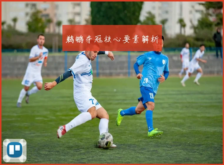 鹈鹕夺冠核心要素解析