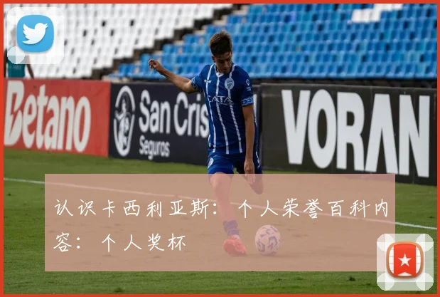 认识卡西利亚斯：个人荣誉百科内容：个人奖杯