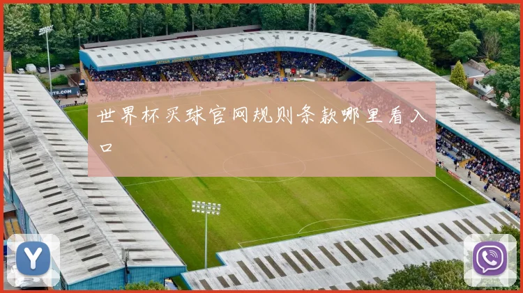 世界杯买球官网规则条款哪里看入口