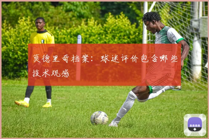 莫德里奇档案：球迷评价包含哪些技术观感