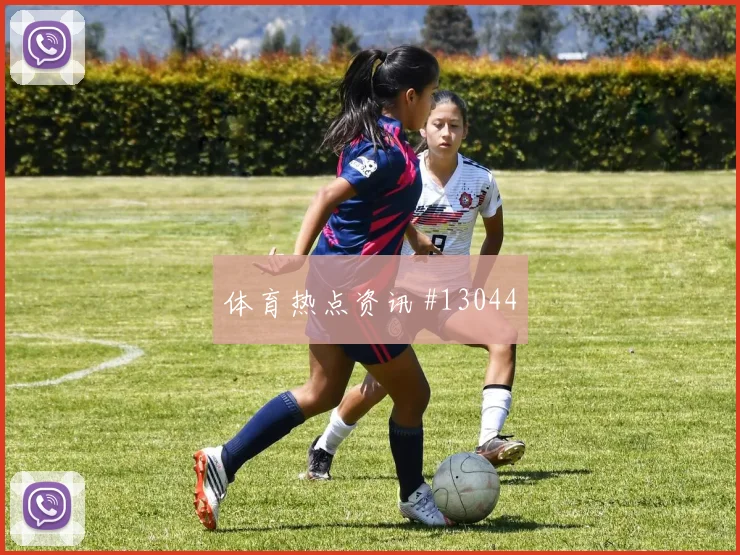 6月19日土耳其vs巴拉圭主帅布阵