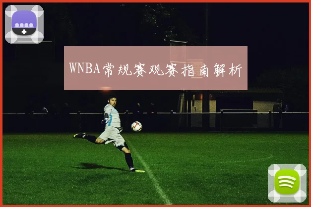 WNBA常规赛观赛指南解析